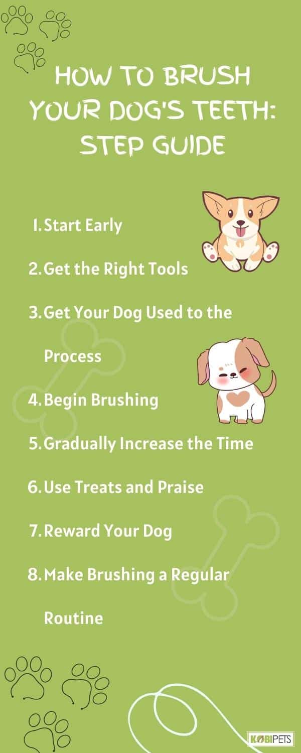 How to Brush Your Dog's Teeth: Step Guide