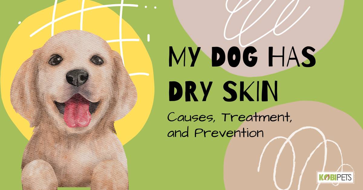 My Dog has Dry Skin