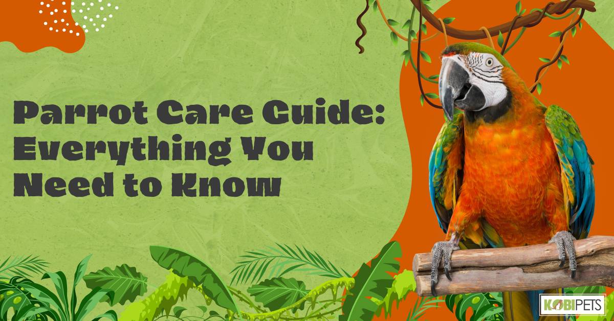 Parrot Care Guide: Everything You Need to Know
