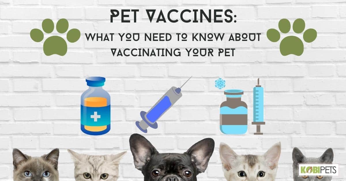 Pet vaccines: What you need to know about vaccinating your pet