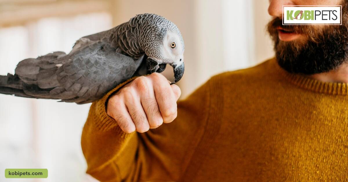 Protecting Your Bird's Immune System
