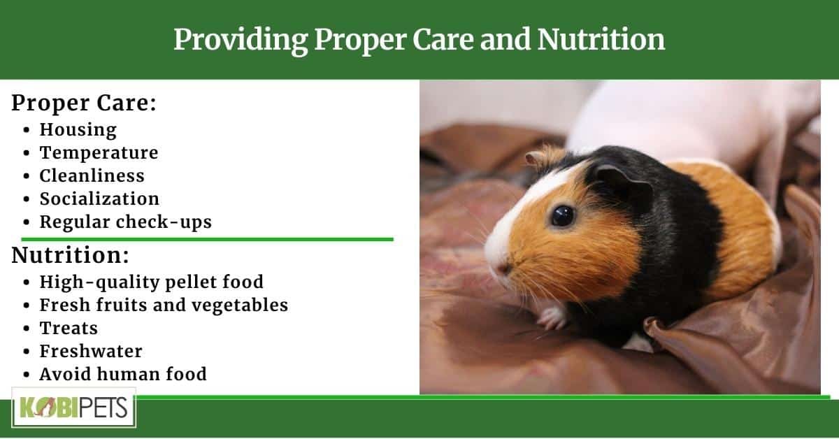 Providing Proper Care and Nutrition
