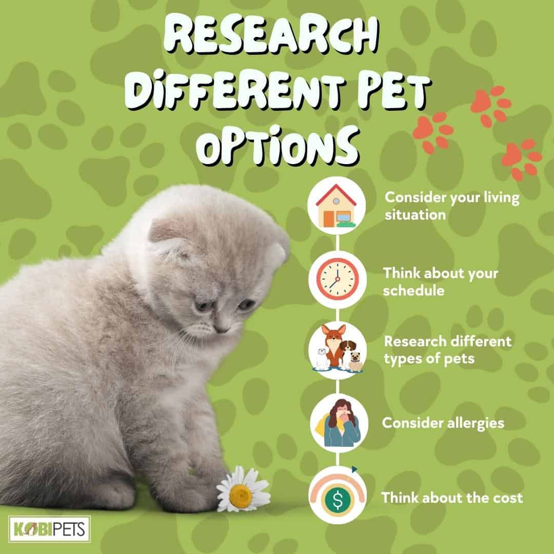 Research Different Pet Options