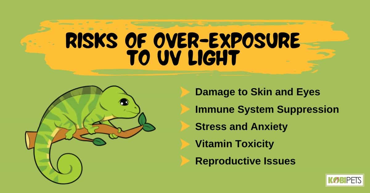 Risks of Over-Exposure to UV Light
