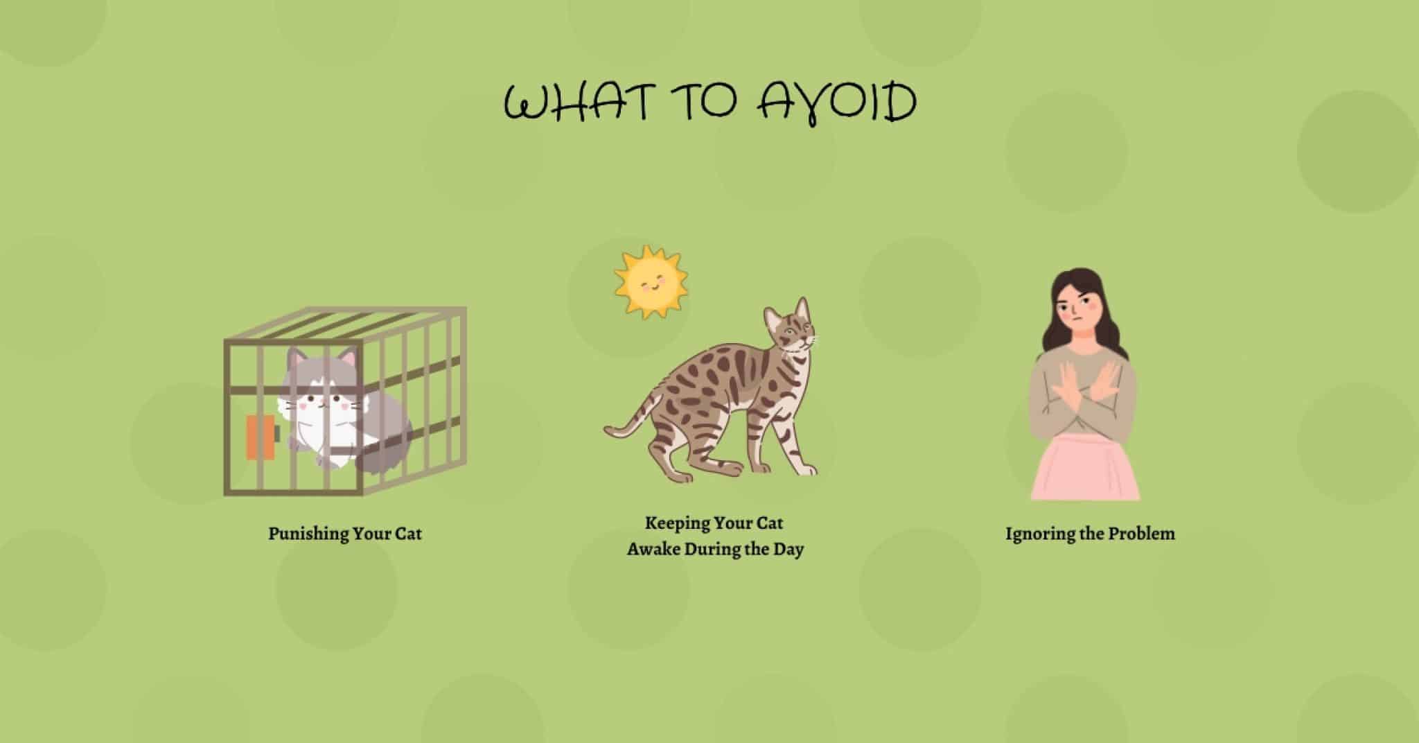 Cat Keeping You Awake? How To Manage Night Activity Kobi Pets