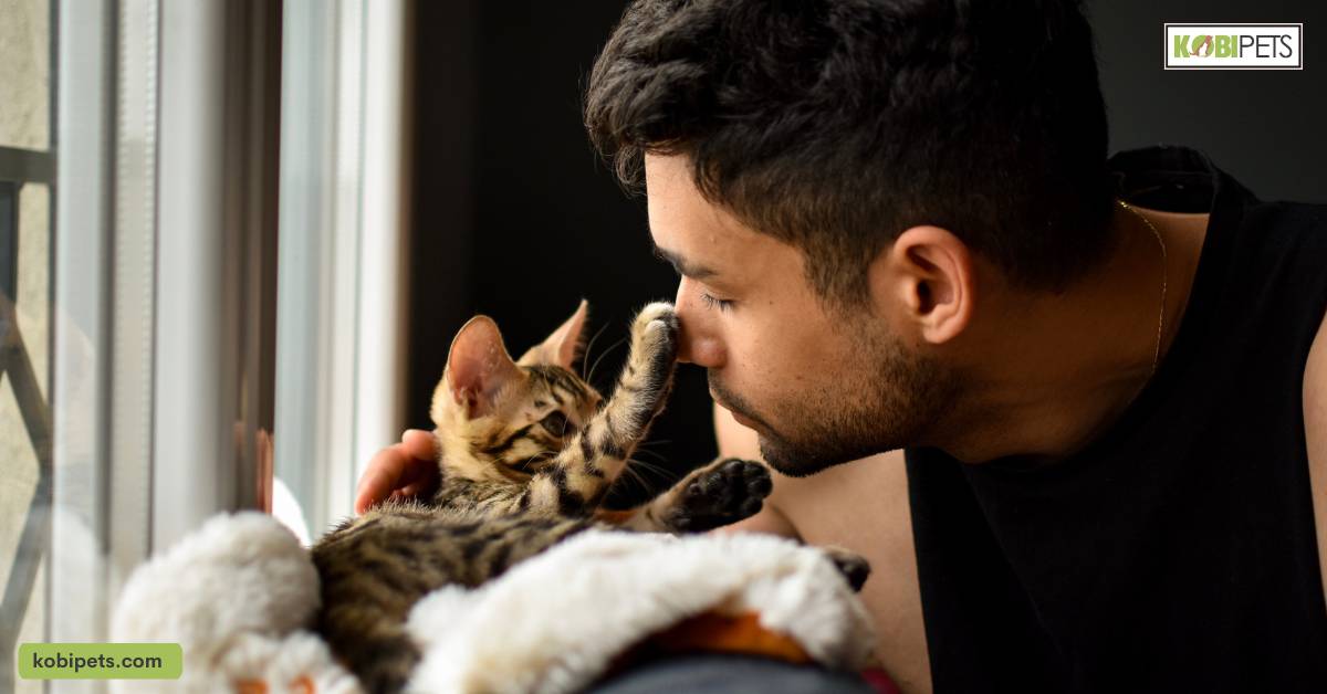 Tips for Living with a Cat Allergy