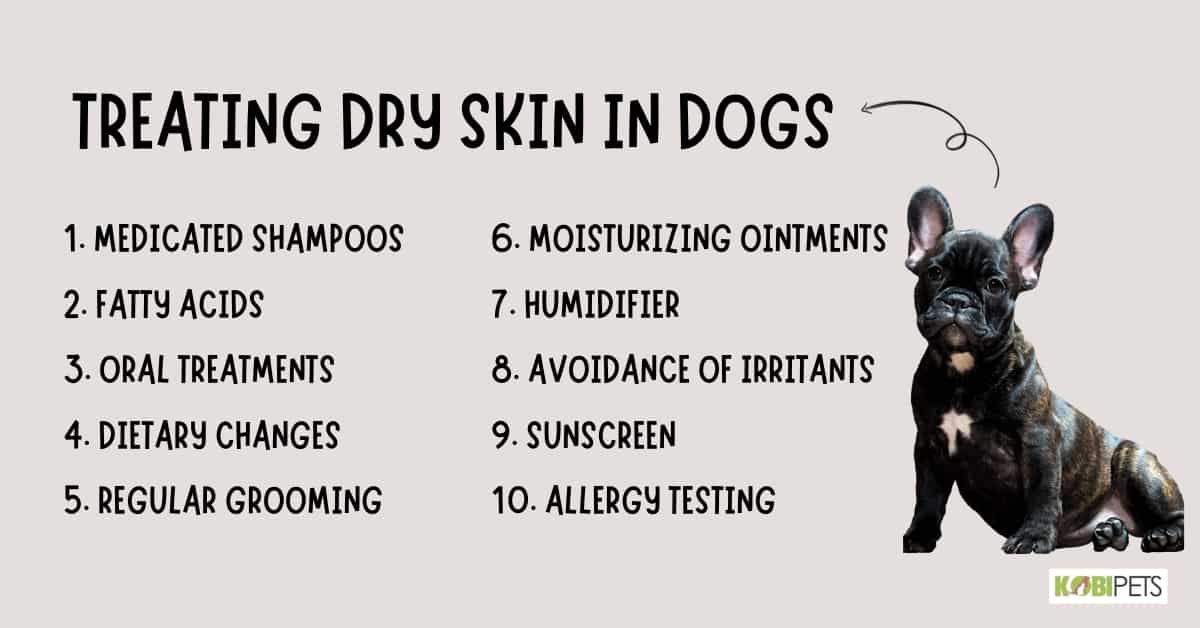 Treating Dry Skin in Dogs