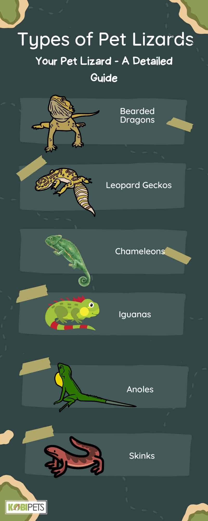 Types of Pet Lizards