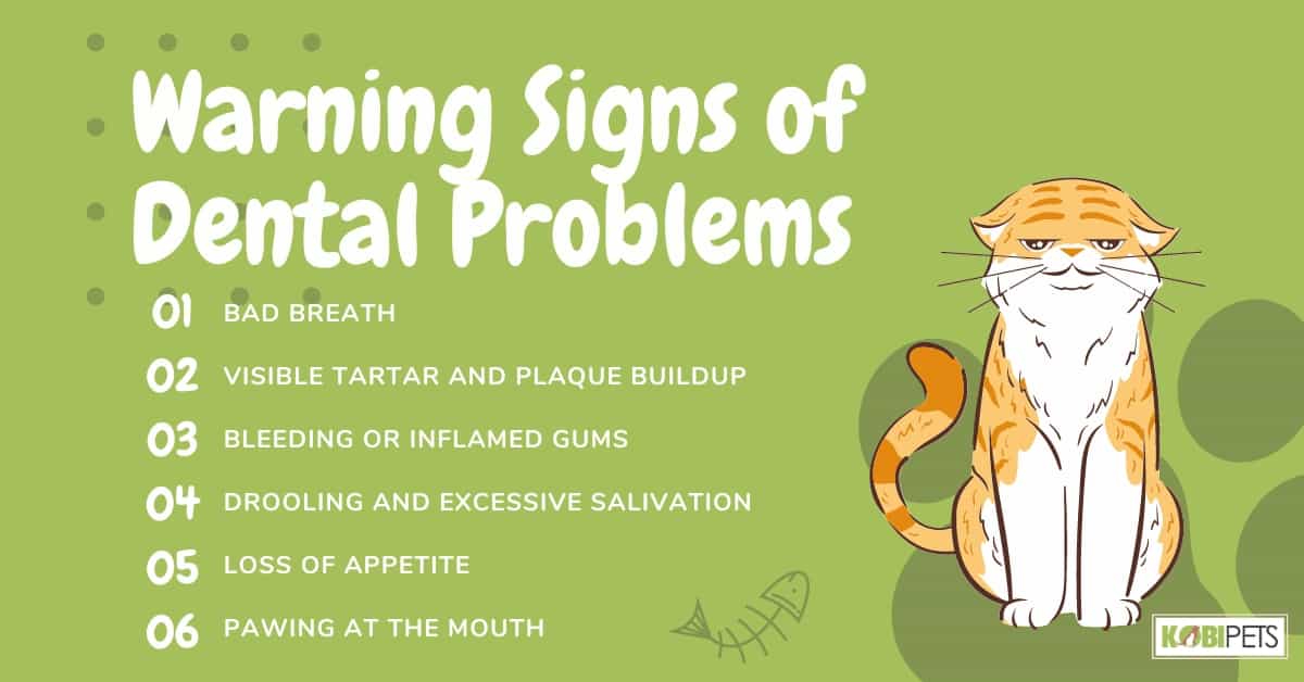 Warning Signs of Dental Problems