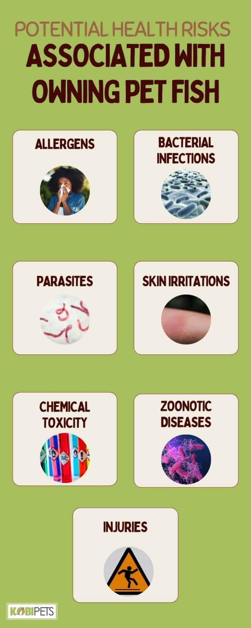 Fish Health 101 Can Pet Fish Make You Sick? Kobi Pets