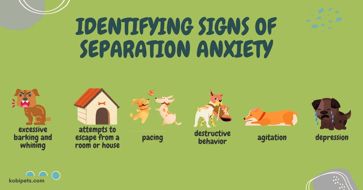 Identifying Signs of Separation Anxiety