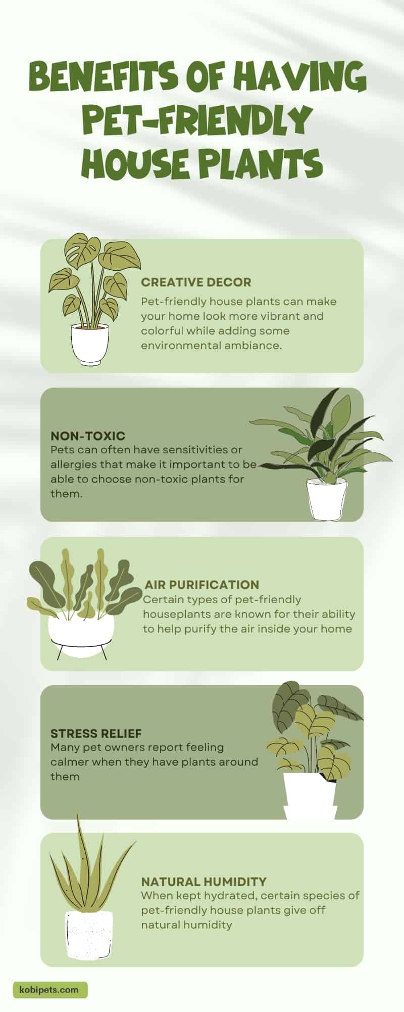 Benefits of Having Pet-Friendly House Plants