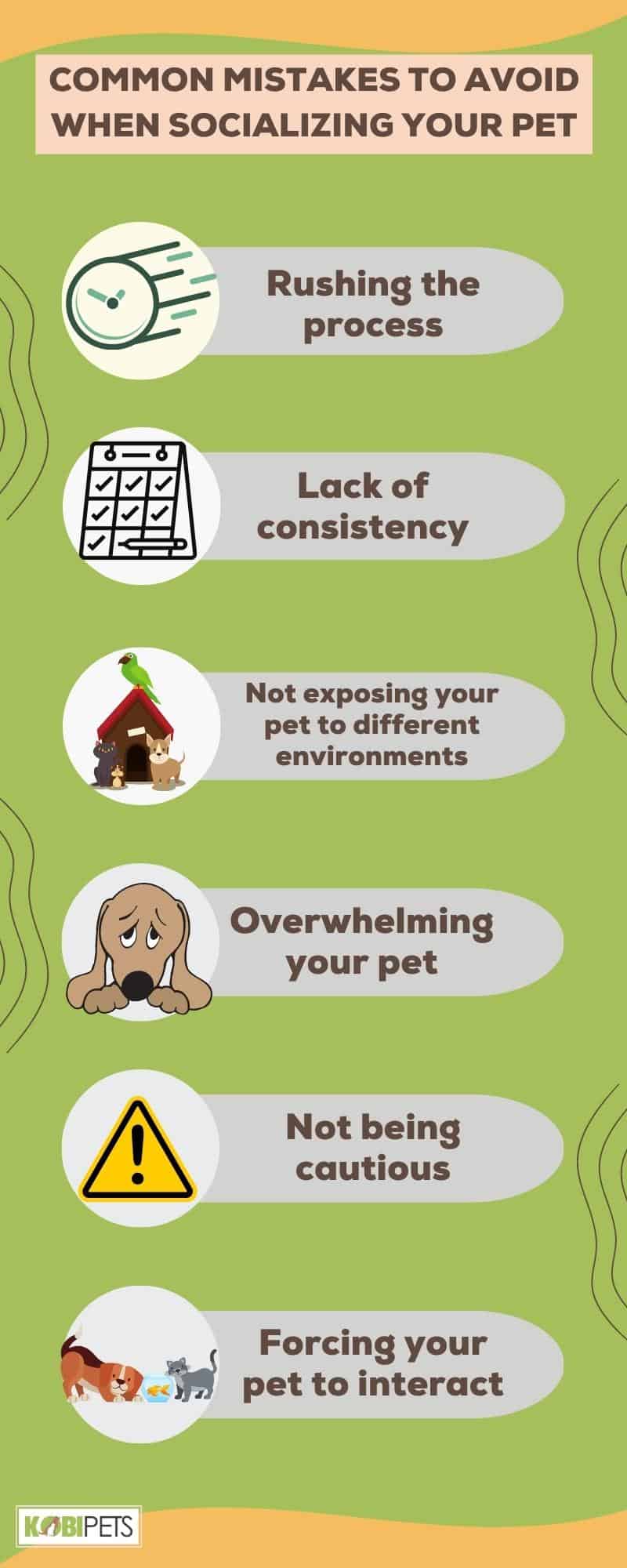 Common Mistakes to avoid when socializing your pets
