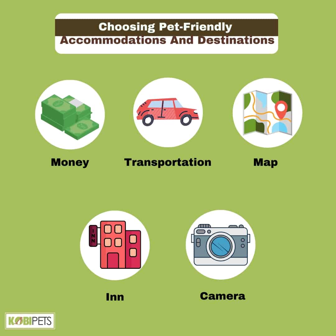 Choosing Pet-Friendly Accommodations And Destinations