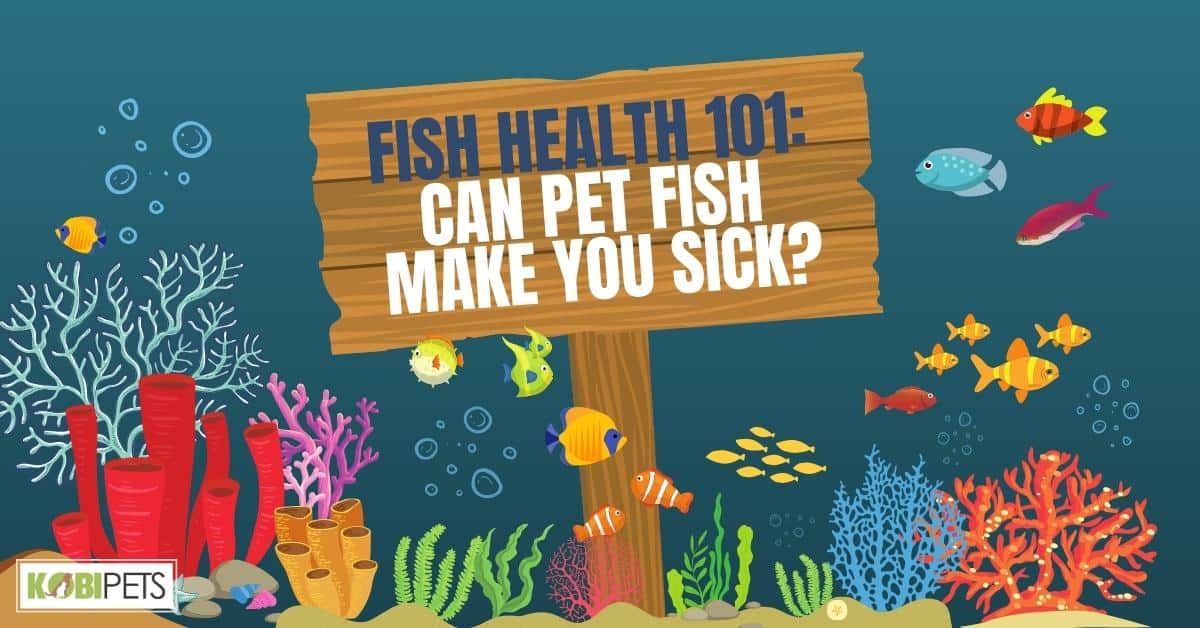 Fish Health 101 Can Pet Fish Make You Sick