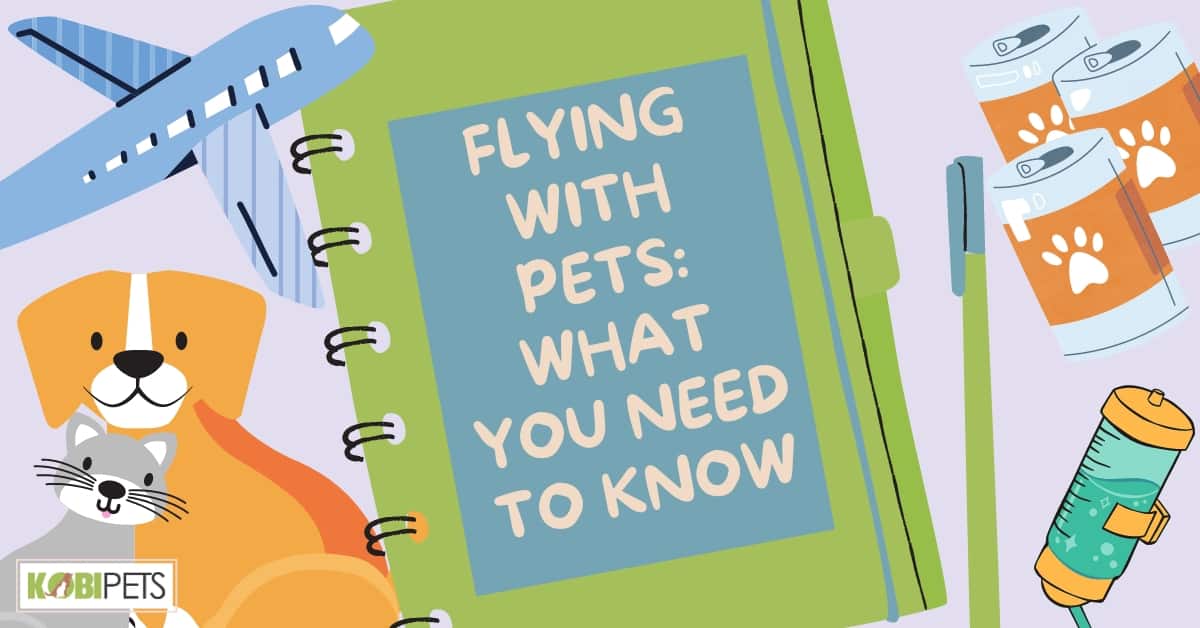 Flying with Pets What You Need to Know