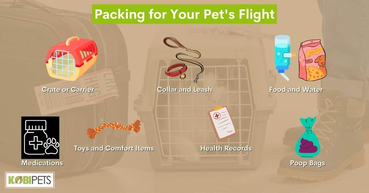 Packing for Your Pet's Flight