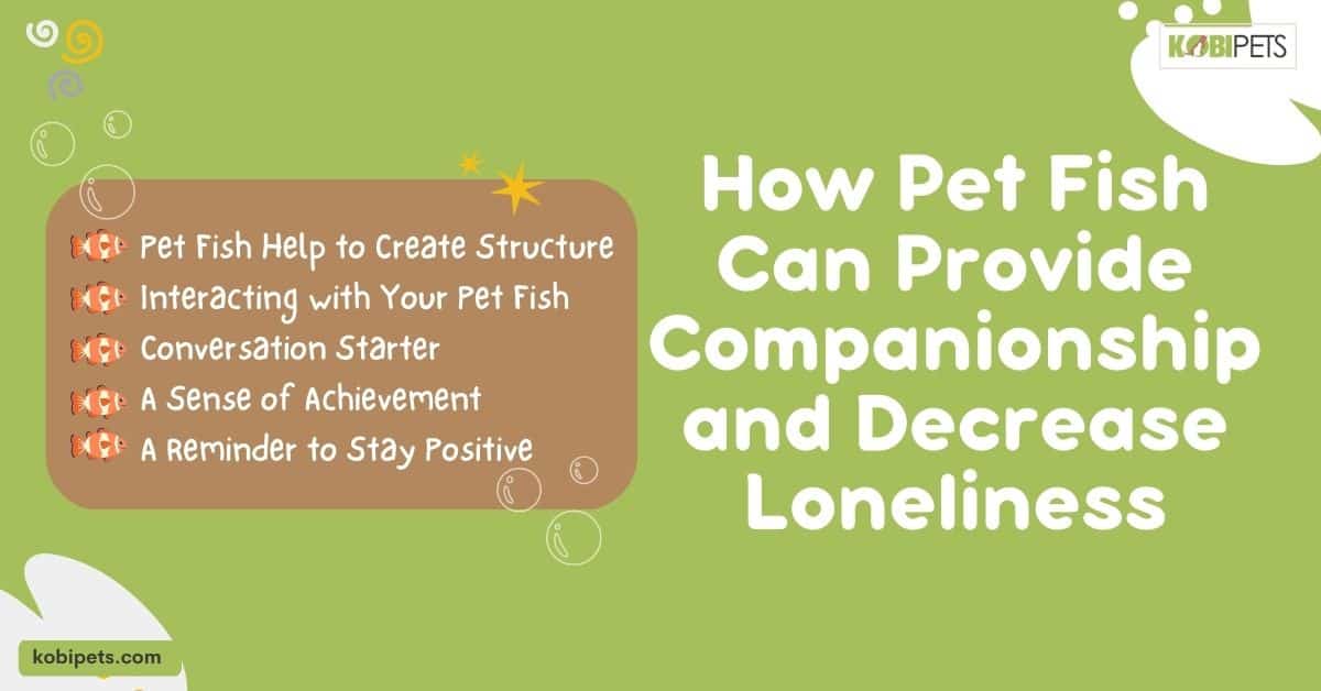 How Pet Fish Can Provide Companionship and Decrease Loneliness