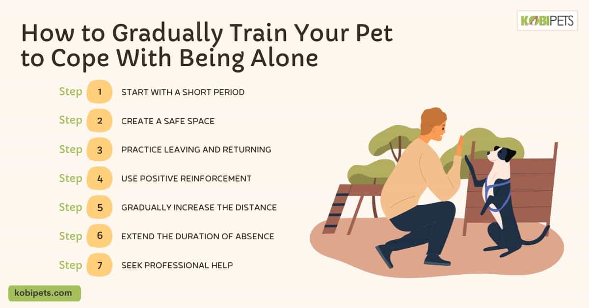 How to Gradually Train Your Pet to Cope With Being Alone (2)