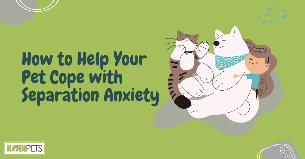 How to Help Your Pet Cope with Separation Anxiety
