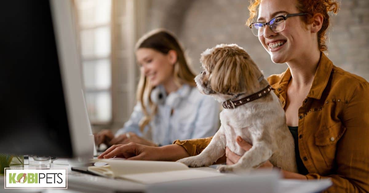 Importance of Pets in the Workplace