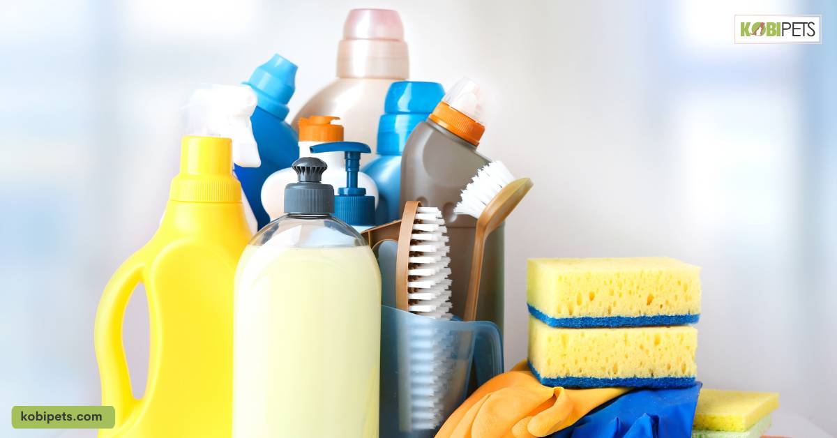 Managing Household Items