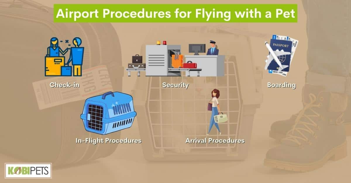 Airport Procedures for Flying with a Pet