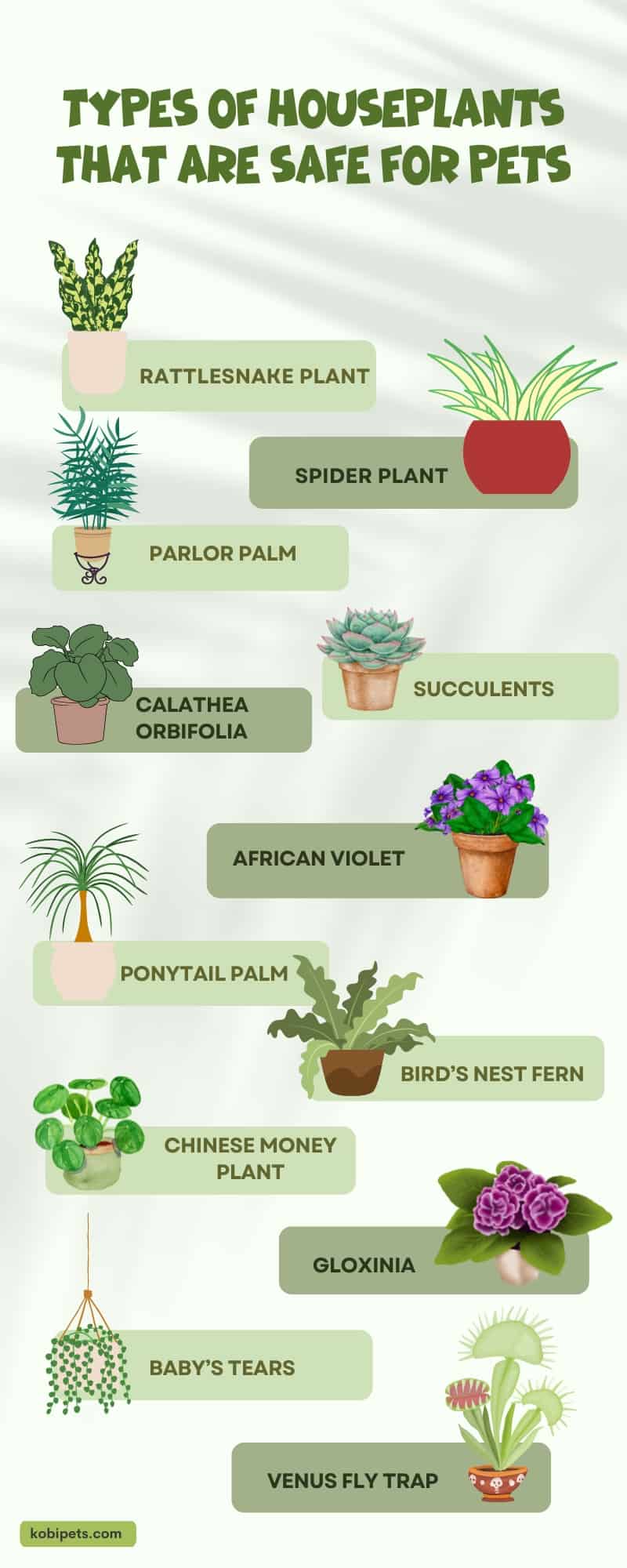 Types of Houseplants That Are Safe for Pets