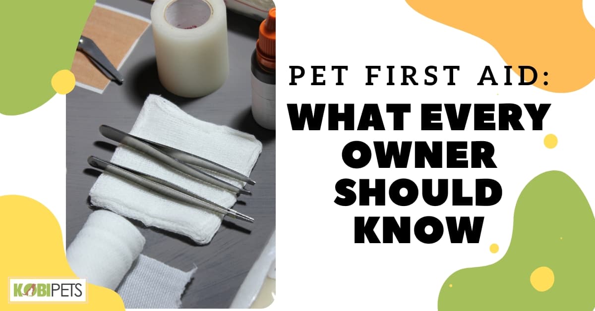 Pet First Aid What Every Owner Should Know