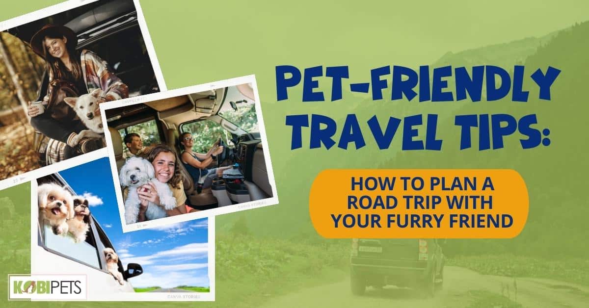 Pet-Friendly Travel Tips: How to Plan a Road Trip with Your Furry Friend