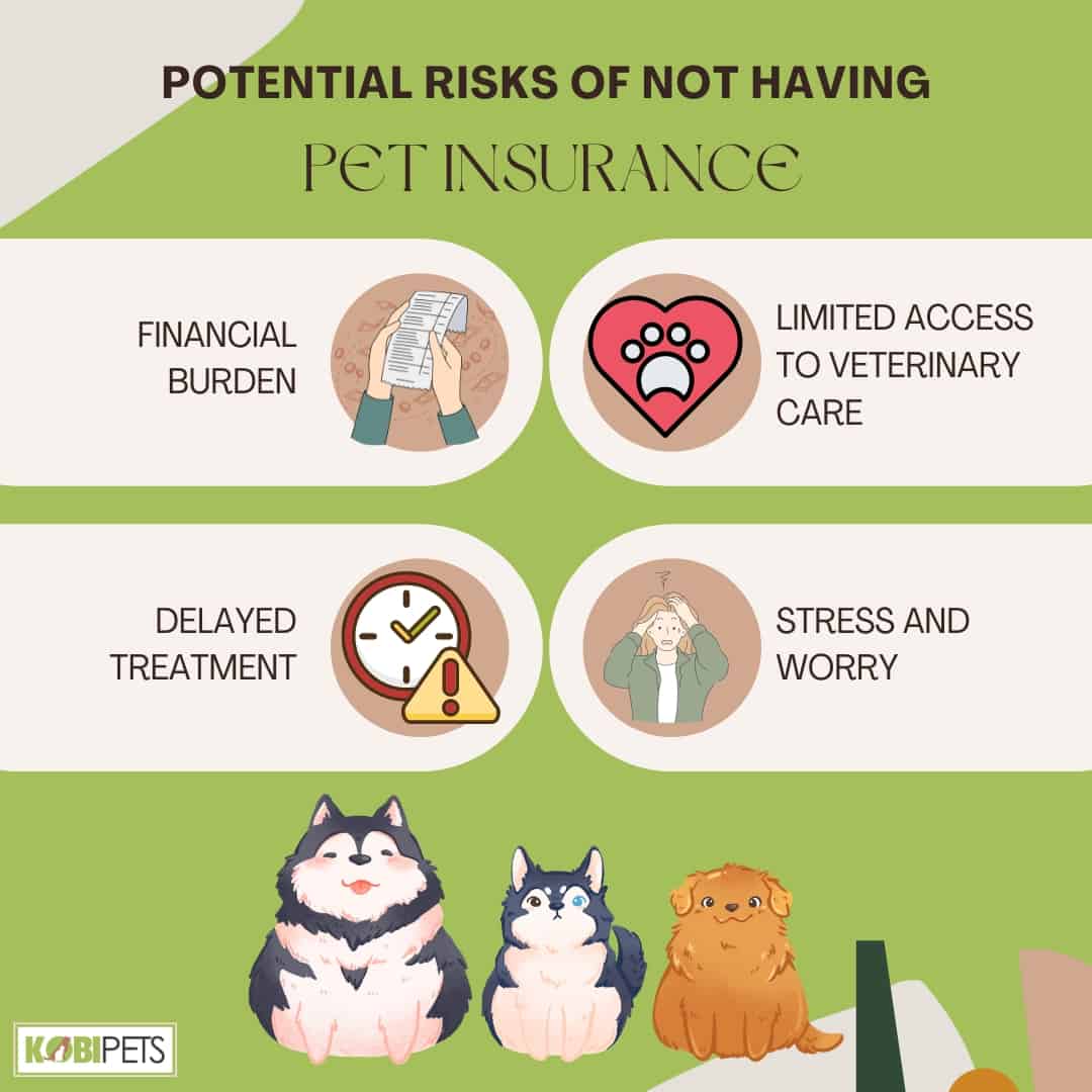 Potential Risks of Not Having Pet Insurance