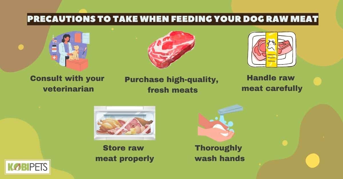 Precautions to Take When Feeding Your Dog Raw Meat