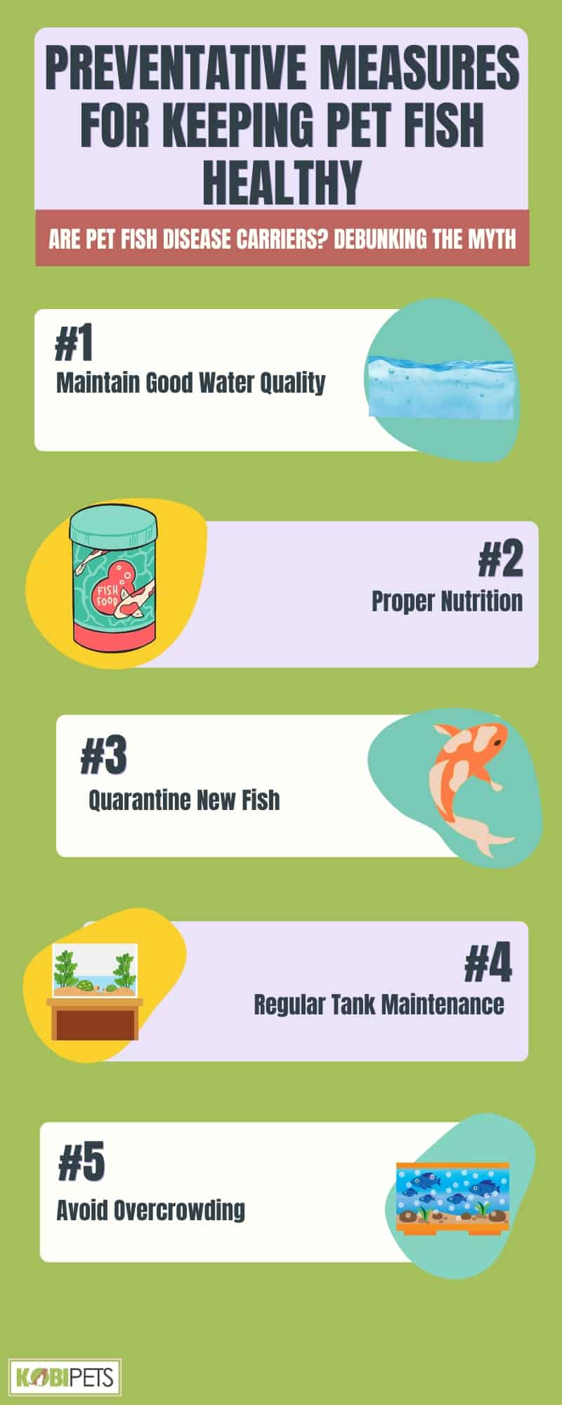 Preventative Measures for Keeping Pet Fish Healthy