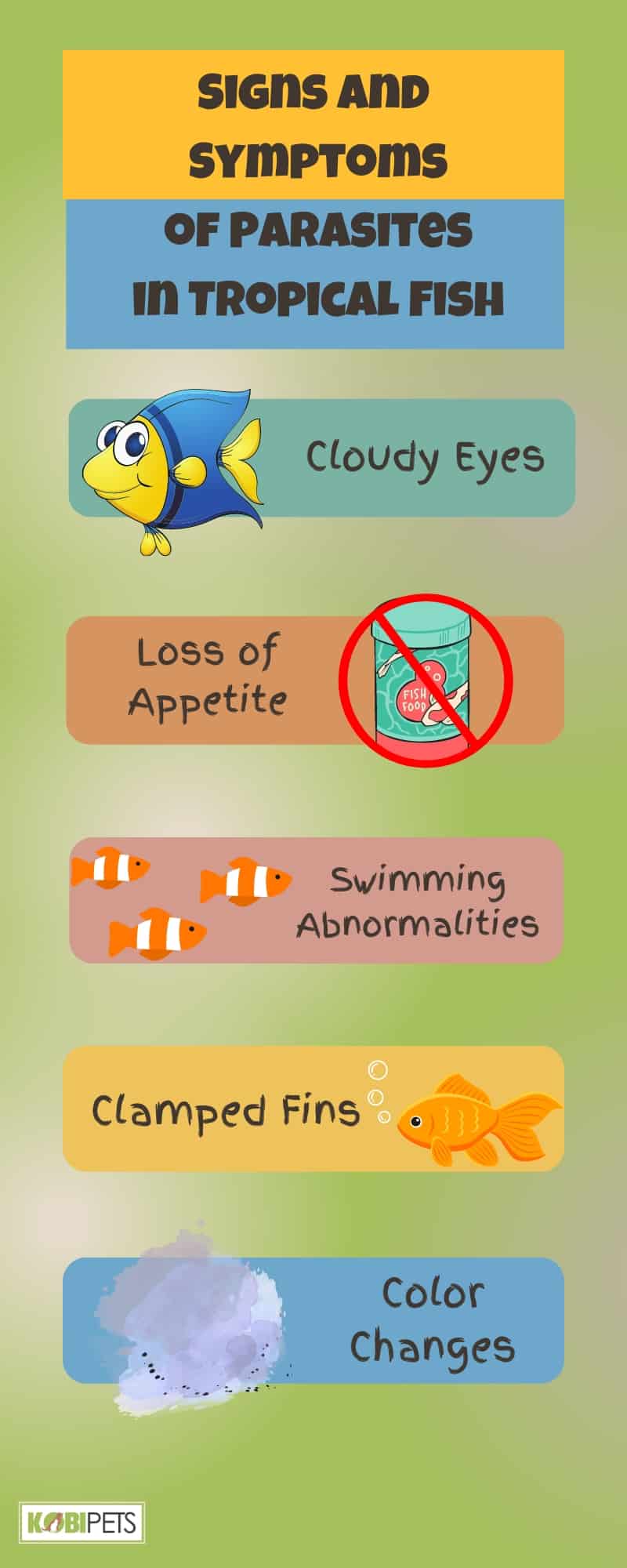 Signs and Symptoms of Parasites in Tropical Fish Infographic