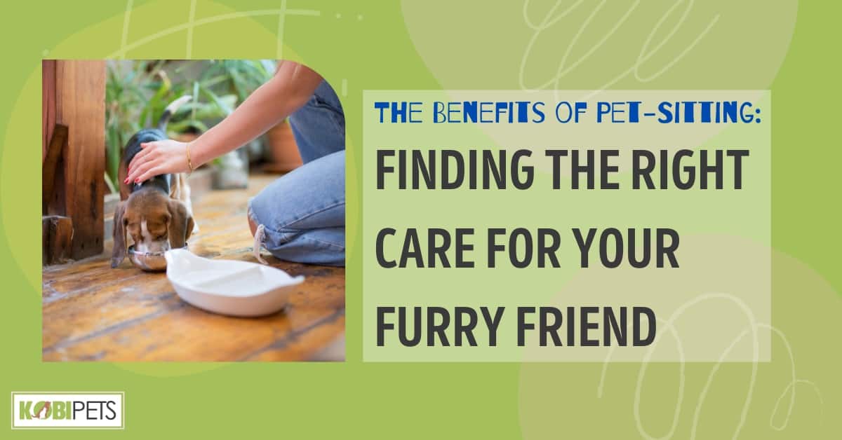 The Benefits of Pet-Sitting Finding the Right Care for Your Furry Friend Finding the Right Care for Your Furry Friend