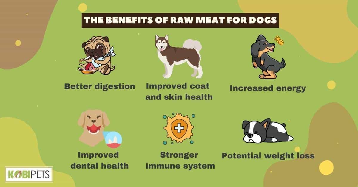 The Benefits of Raw Meat for Dogs