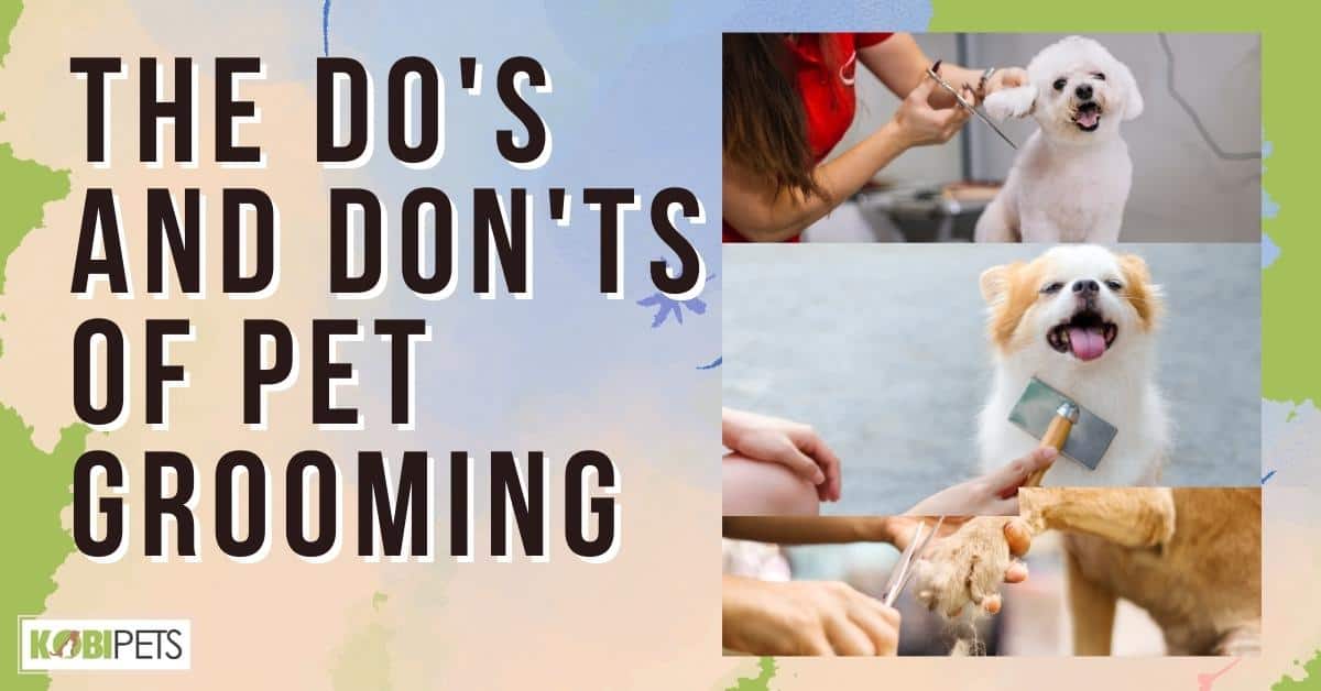 The Do's and Don'ts of Pet Grooming