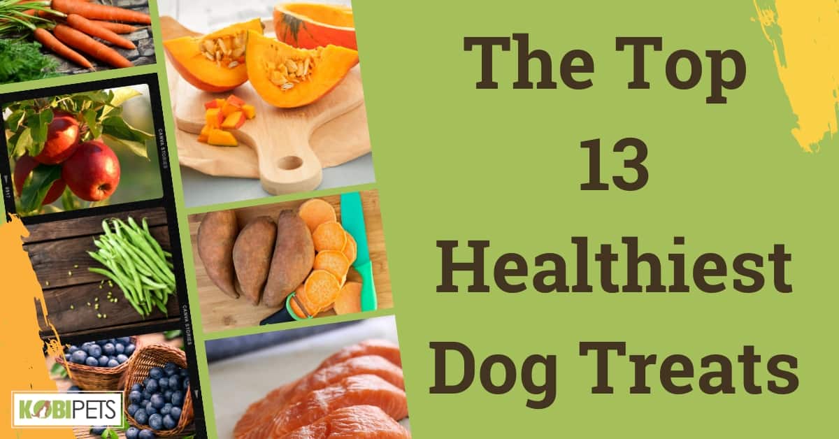 The Top 13 Healthiest Dog Treats