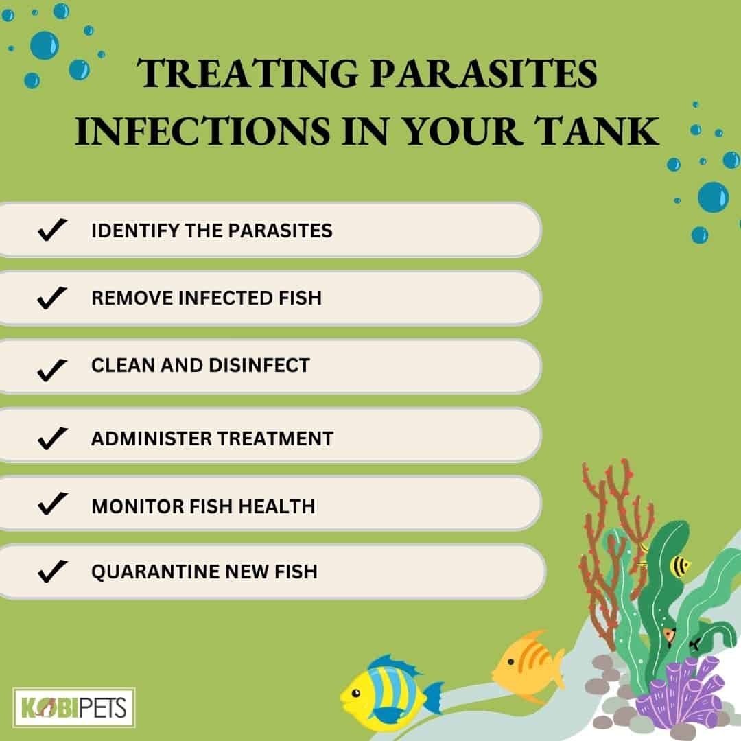 Treating Parasites Infections in Your Tank