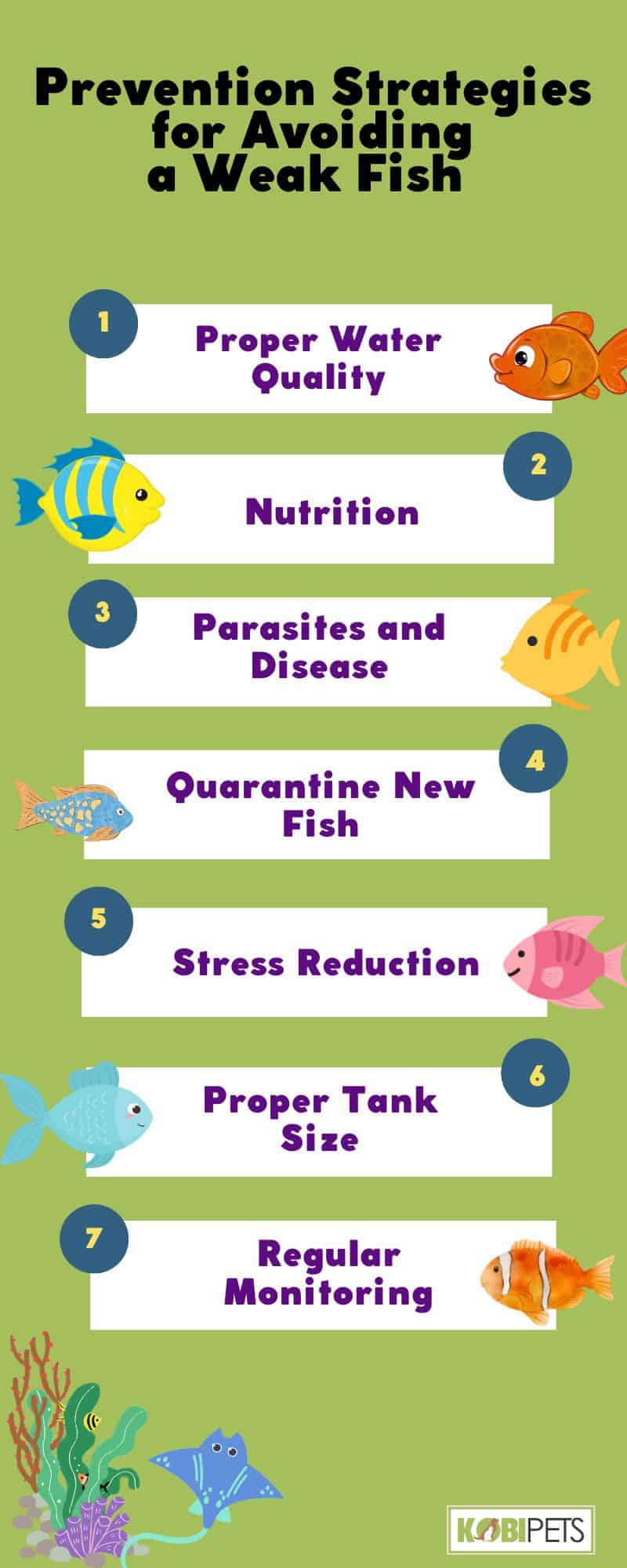 Prevention Strategies for Avoiding a Weak Fish 