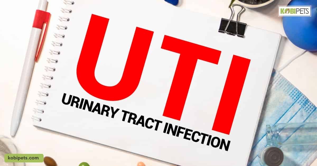 Urinary tract infections