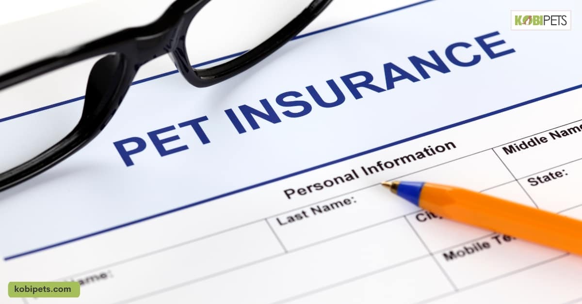 What is Pet Insurance