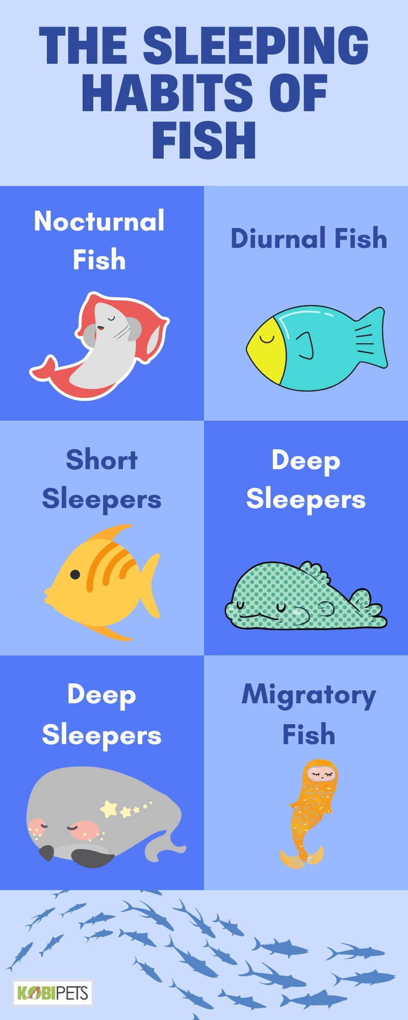 The Sleeping Habits of Fish
