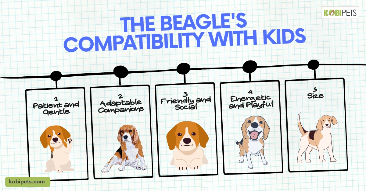 The Beagle's Compatibility with Kids