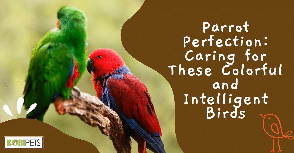 Parrot Perfection: Caring for These Colorful and Intelligent Birds ...