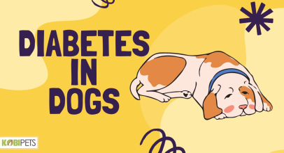 Diabetes in Dogs