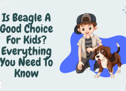 Is Beagle A Good Choice For Kids? Everything You Need To Know