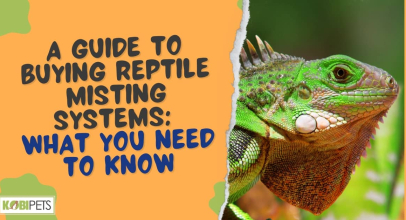 A Guide to Buying Reptile Misting Systems: What You Need to Know