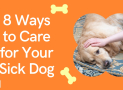 8 Ways to Care for Your Sick Dog