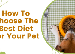 How To Choose The Best Diet For Your Pet